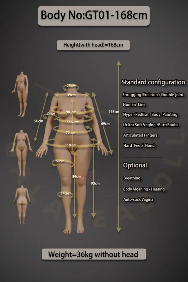 GT01 168 Body Data (Pic)